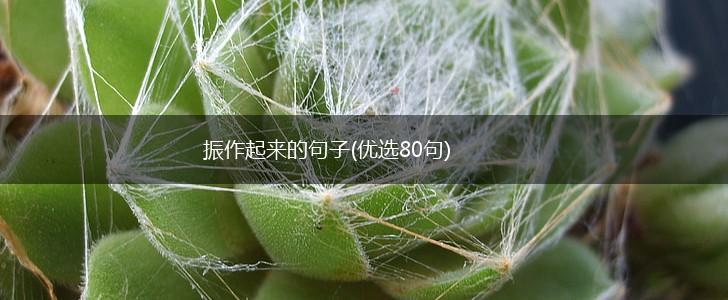 振作起来的句子(优选80句),第1张