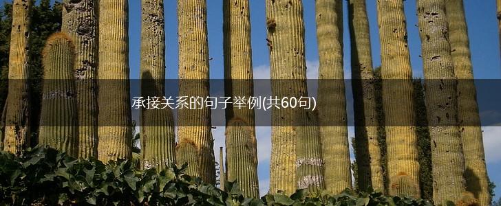 承接关系的句子举例(共60句),第1张