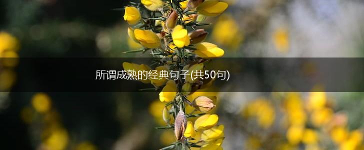 所谓成熟的经典句子(共50句),第1张