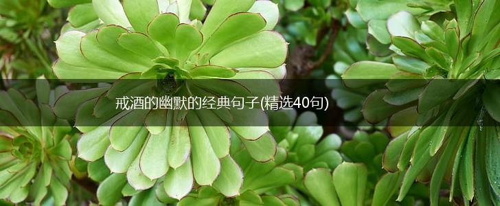 戒酒的幽默的经典句子(精选40句),第1张