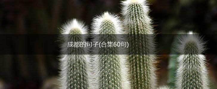 成都的句子(合集60句),第1张