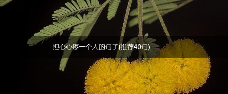 担心心疼一个人的句子(推荐40句),第1张