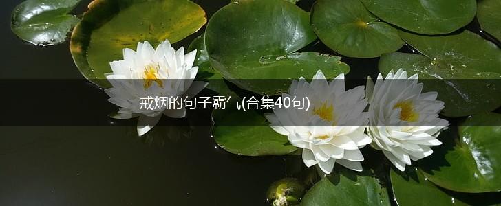 戒烟的句子霸气(合集40句),第1张