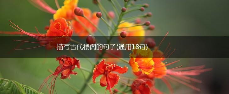 描写古代楼阁的句子(通用18句),第1张