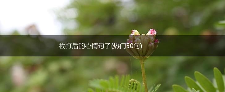挨打后的心情句子(热门50句),第1张