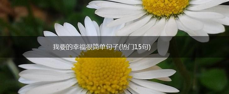 我要的幸福很简单句子(热门15句),第1张