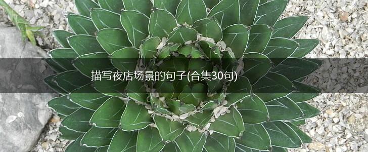 描写夜店场景的句子(合集30句),第1张