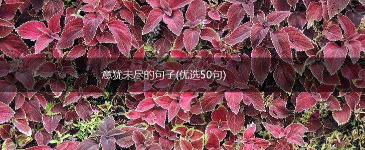 意犹未尽的句子(优选50句),第1张