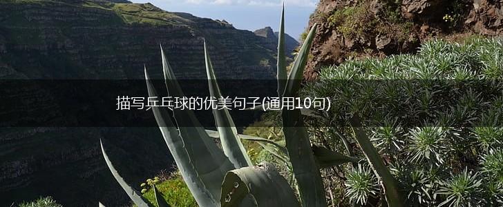 描写乒乓球的优美句子(通用10句),第1张