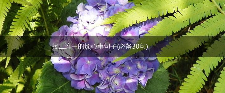 接二连三的烦心事句子(必备30句),第1张