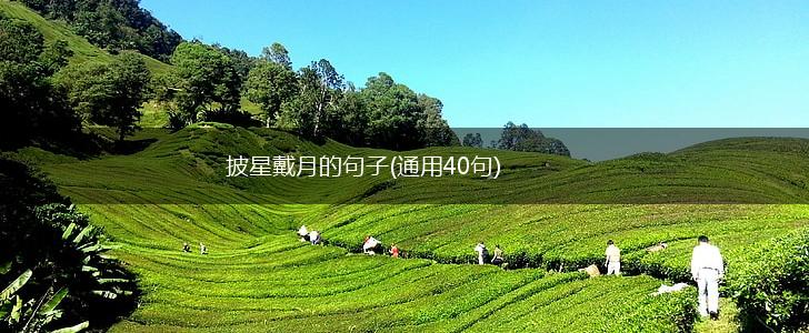 披星戴月的句子(通用40句),第1张