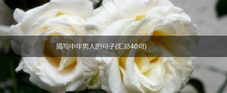 描写中年男人的句子(汇总40句),第1张