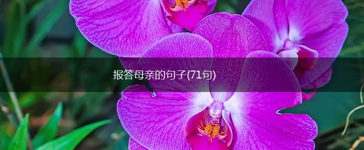 报答母亲的句子(71句),第1张
