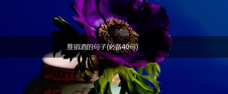 推销酒的句子(必备40句),第1张