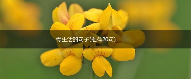 慢生活的句子(推荐20句),第1张