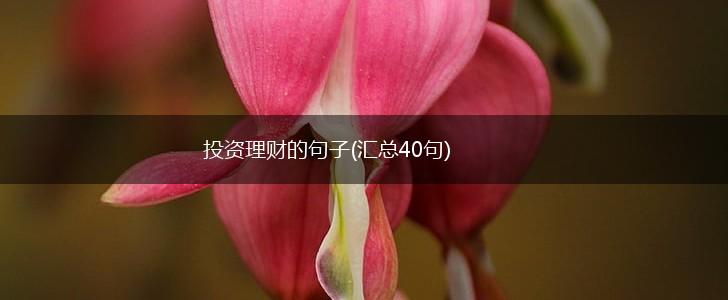 投资理财的句子(汇总40句),第1张