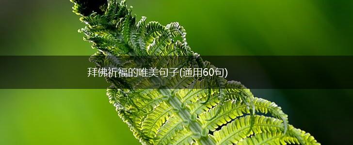 拜佛祈福的唯美句子(通用60句),第1张