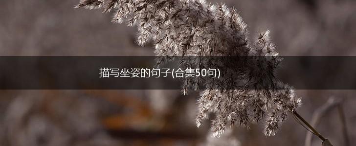 描写坐姿的句子(合集50句),第1张