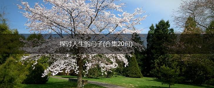 探讨人生的句子(合集20句),第1张