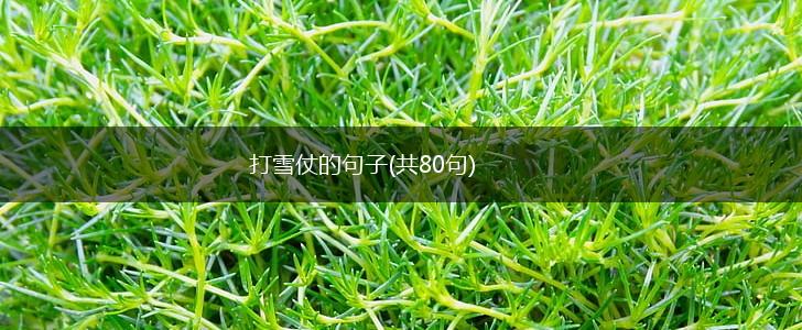 打雪仗的句子(共80句),第1张
