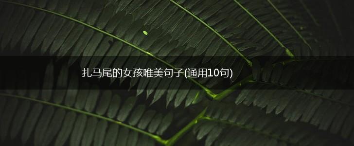 扎马尾的女孩唯美句子(通用10句),第1张
