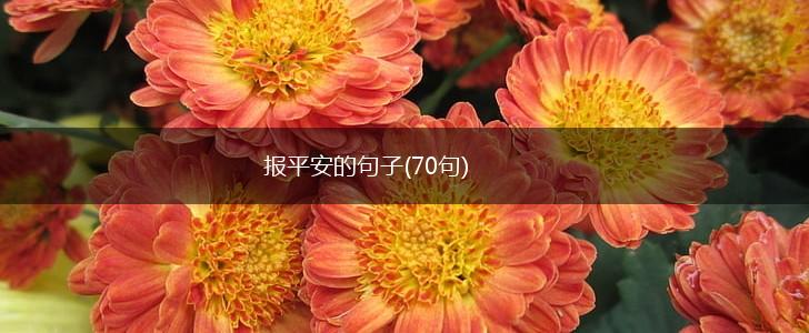 报平安的句子(70句),第1张