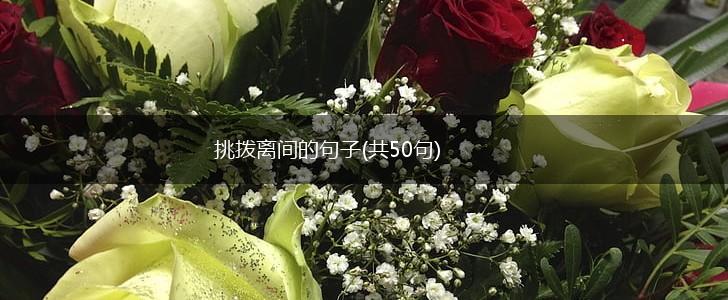 挑拨离间的句子(共50句),第1张