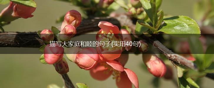 描写大家庭和睦的句子(实用40句),第1张 描写大家庭和睦的句子(实用40句),第1张