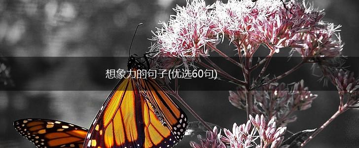想象力的句子(优选60句),第1张