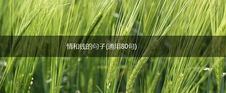 情和钱的句子(通用80句),第1张