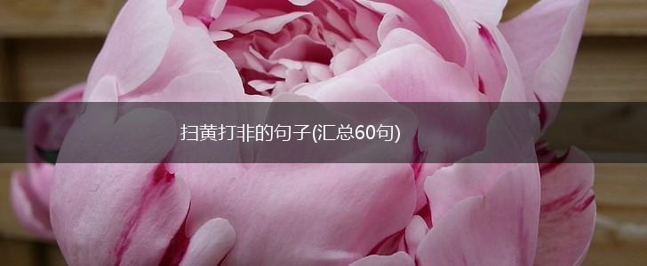 扫黄打非的句子(汇总60句),第1张