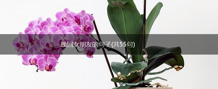 挽回女朋友的句子(共55句),第1张
