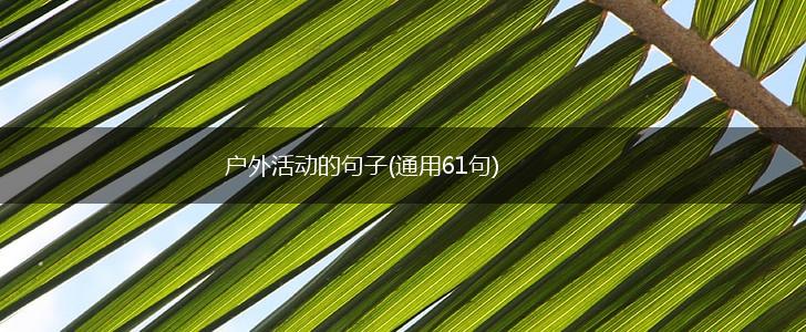 户外活动的句子(通用61句),第1张