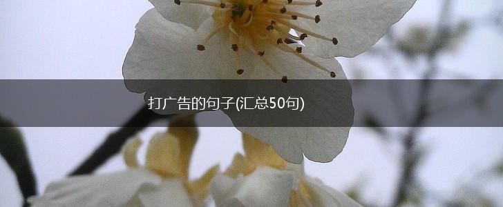 打广告的句子(汇总50句),第1张