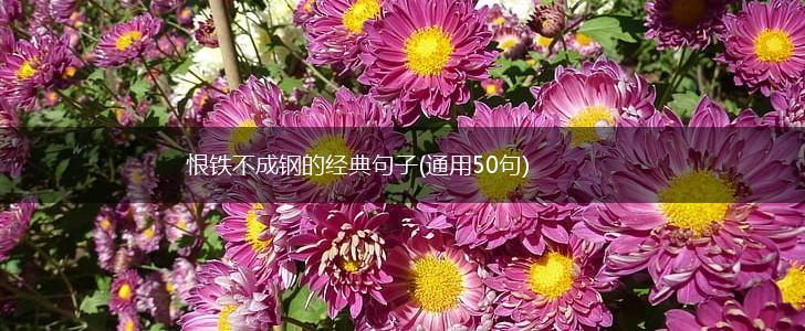 恨铁不成钢的经典句子(通用50句),第1张