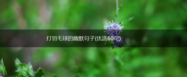 打羽毛球的幽默句子(优选60句),第1张