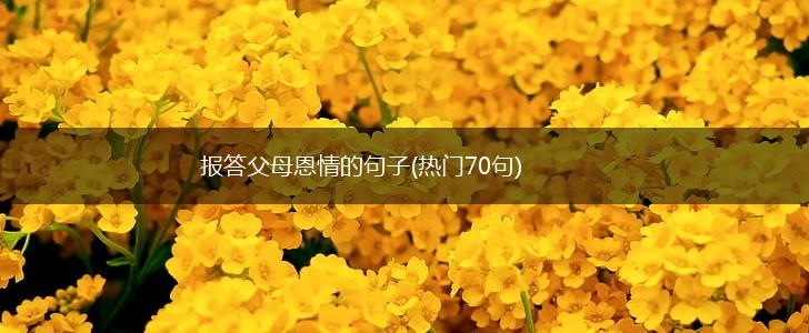 报答父母恩情的句子(热门70句),第1张