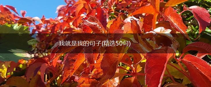我就是我的句子(精选50句),第1张