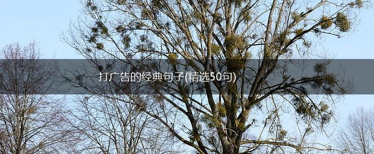 打广告的经典句子(精选50句),第1张