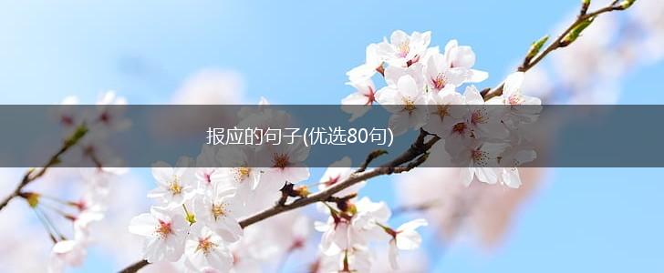 报应的句子(优选80句),第1张