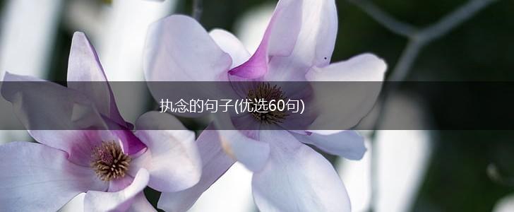 执念的句子(优选60句),第1张