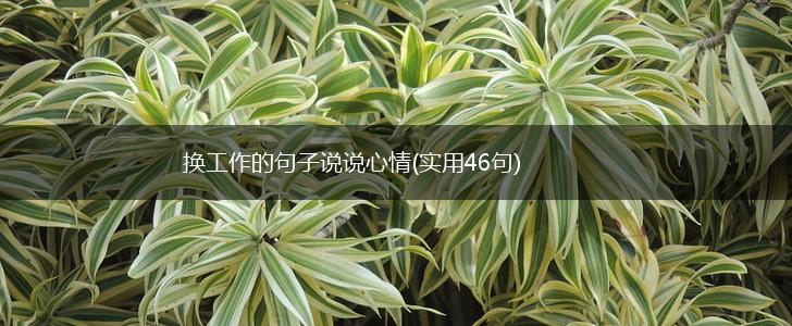 换工作的句子说说心情(实用46句),第1张