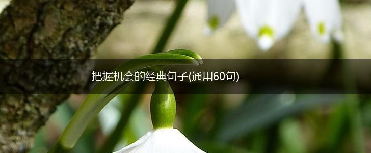 把握机会的经典句子(通用60句),第1张