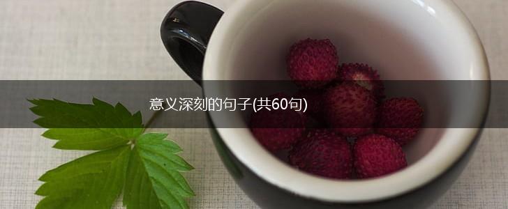 意义深刻的句子(共60句),第1张