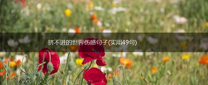 挤不进的世界伤感句子(实用49句),第1张 挤不进的世界伤感句子(实用49句),第1张