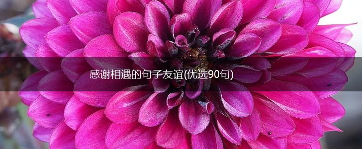 感谢相遇的句子友谊(优选90句),第1张