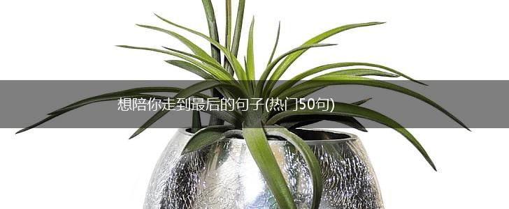 想陪你走到最后的句子(热门50句),第1张