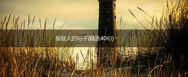 报复人的句子(精选40句),第1张