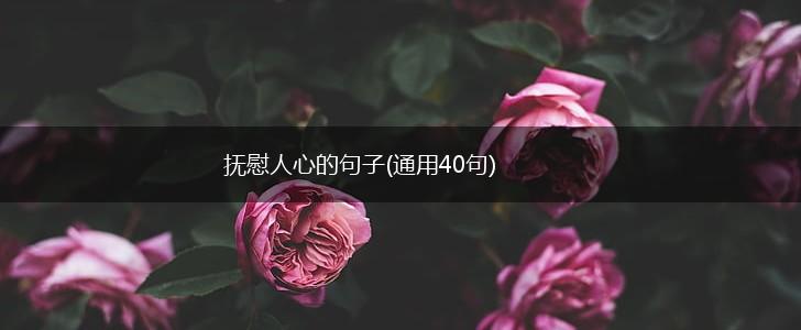 抚慰人心的句子(通用40句),第1张