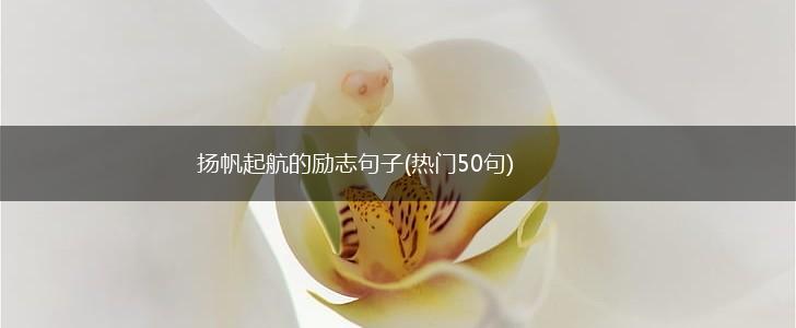 扬帆起航的励志句子(热门50句),第1张